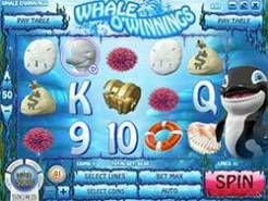 Whale O' Winnings
